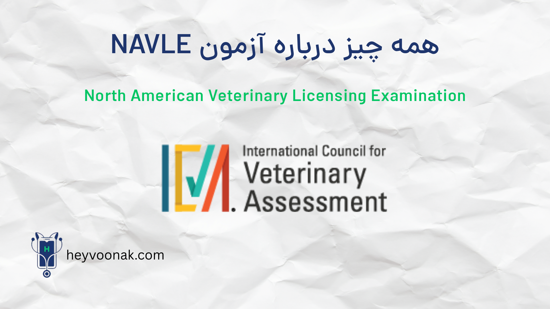 همه چیز درباره آزمون NAVLE