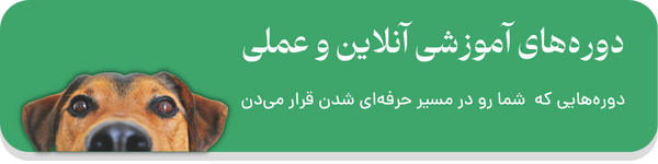 دوره‌های آموزشی آنلاین و عملی