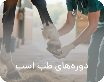 Equine Medicine Courses