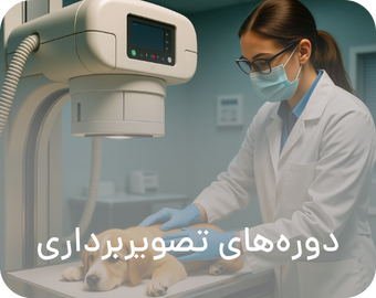 Imaging courses 1