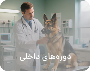Veterinary Internal Medicine Courses