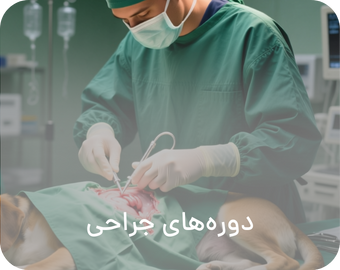 Veterinary Surgery Cources