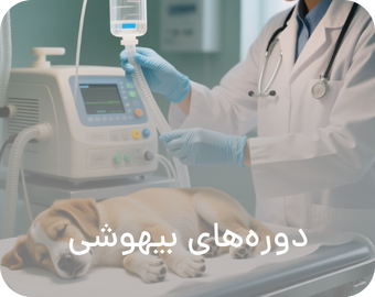 veterinary anesthesia courses