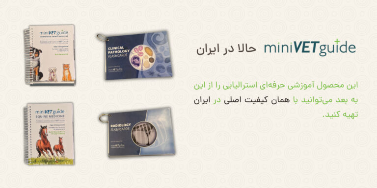 مینی وت گاید