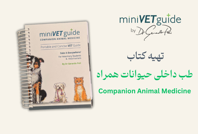 20251124 175114 2111718894