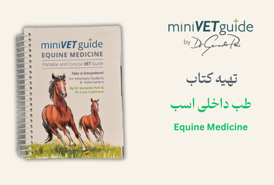 20251124 175127 535259520