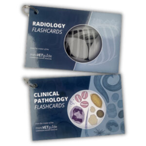 باندل فلش کارت