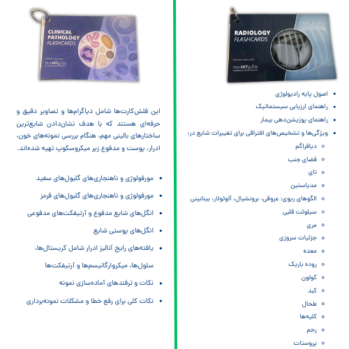 باندل کتابهای مینی وت گاید توضیحات فلش کارت باندل