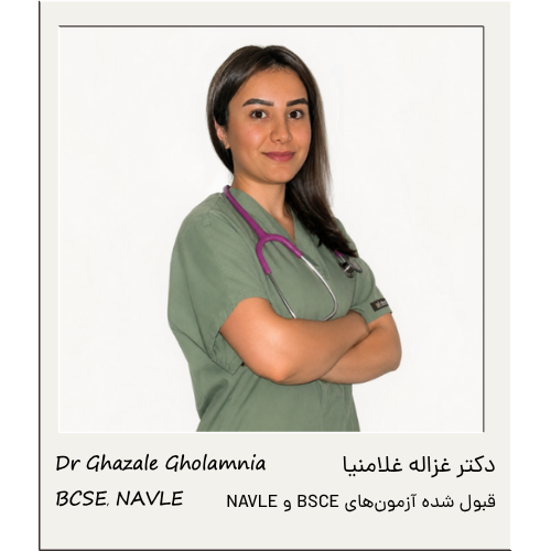 دکتر غزاله غلامنیا | Dr Ghazale Gholamnia