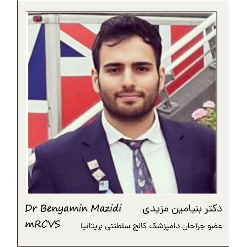 دکتر بنیامین مزیدی